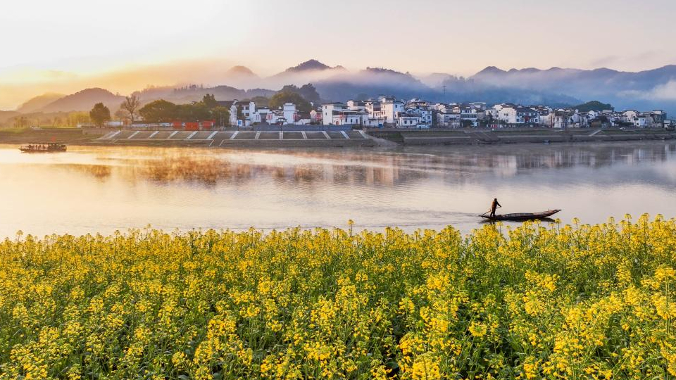 镜观中国丨立生态环境法典 谱美丽中国新篇