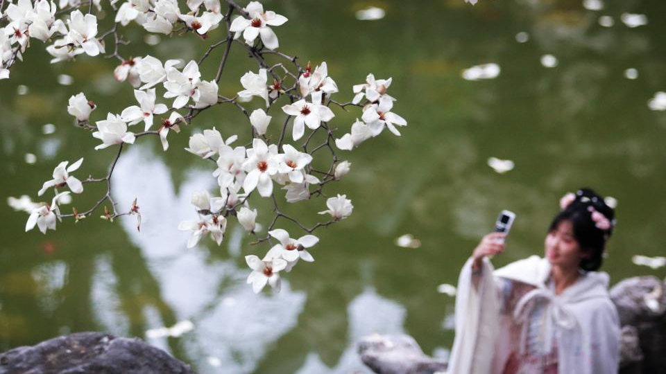 春满山河 人间正暖