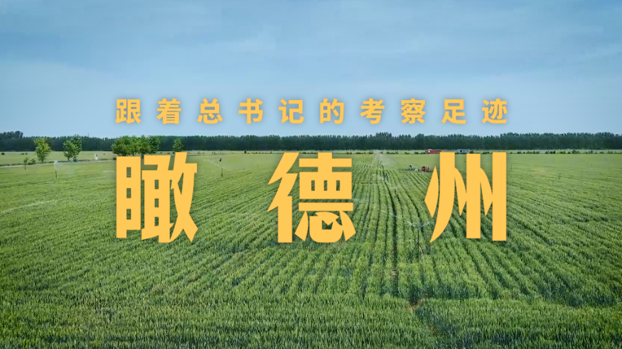 瞰德州