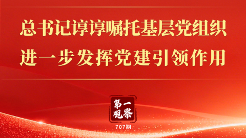 总书记谆谆嘱托基层党组织进一步发挥党建引领作用