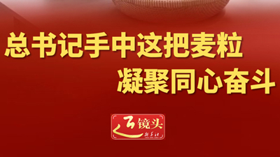 总书记手中这把麦粒凝聚同心奋斗
