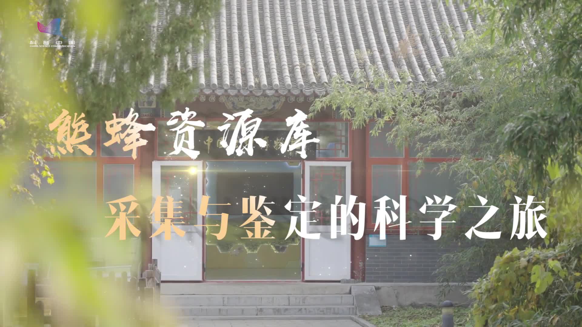 熊蜂资源库 采集与鉴定的科学之旅